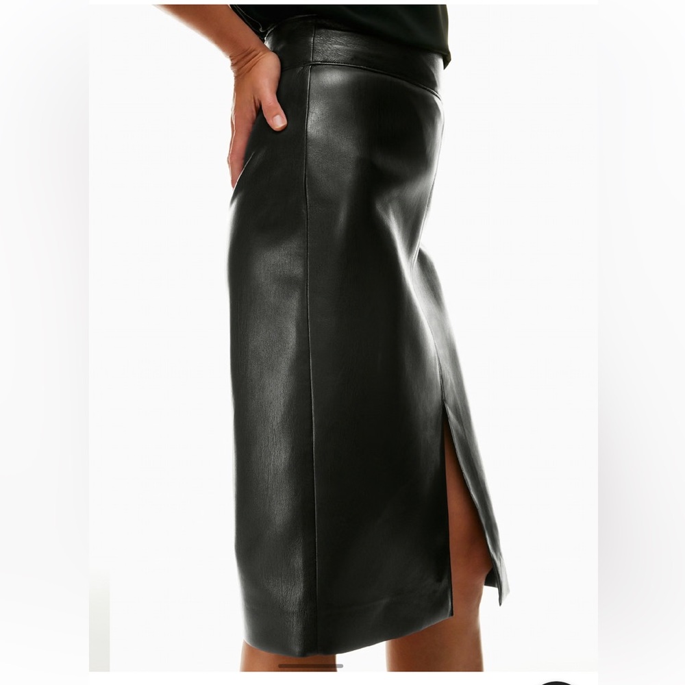Babaton Pegu Skirt - Picture 4 of 9